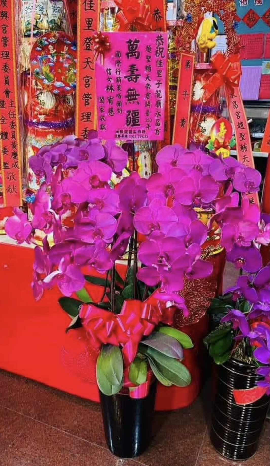 5587(另開新視窗)